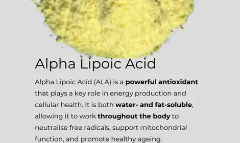 Alpha Lipoic Acid Bulk Powder in Health Formulations